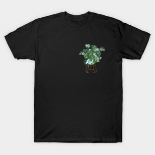 Monstera Variegated Plant in a Pot T-Shirt